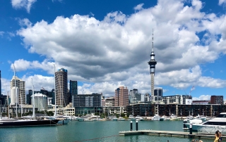 Fire Extinguisher Inspection Auckland